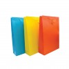 Bolsas de Regalo, Jumbo, 32.5 cm x 44.5 cm, Colores Lisos, 1 Und.