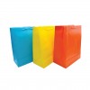 Bolsas de Regalo, Large, 26.2 cm x 32.6 cm, Colores Lisos, 1 Und.